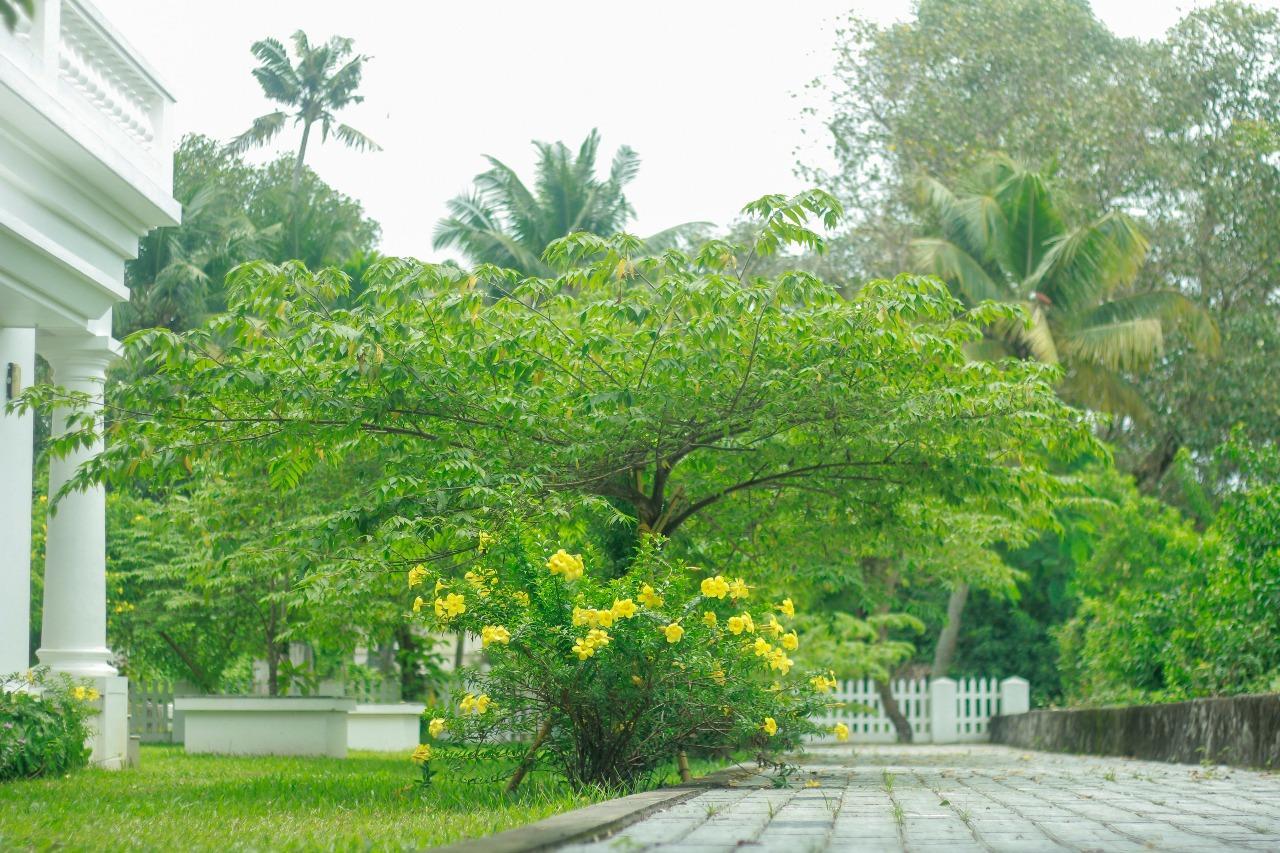 Muziris Harbour View Hotel Kochi Exterior photo